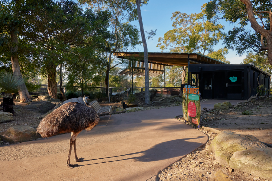 Taronga zoo
