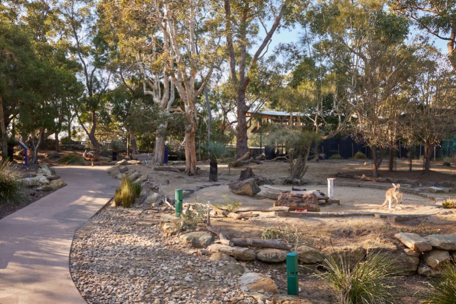 Taronga zoo