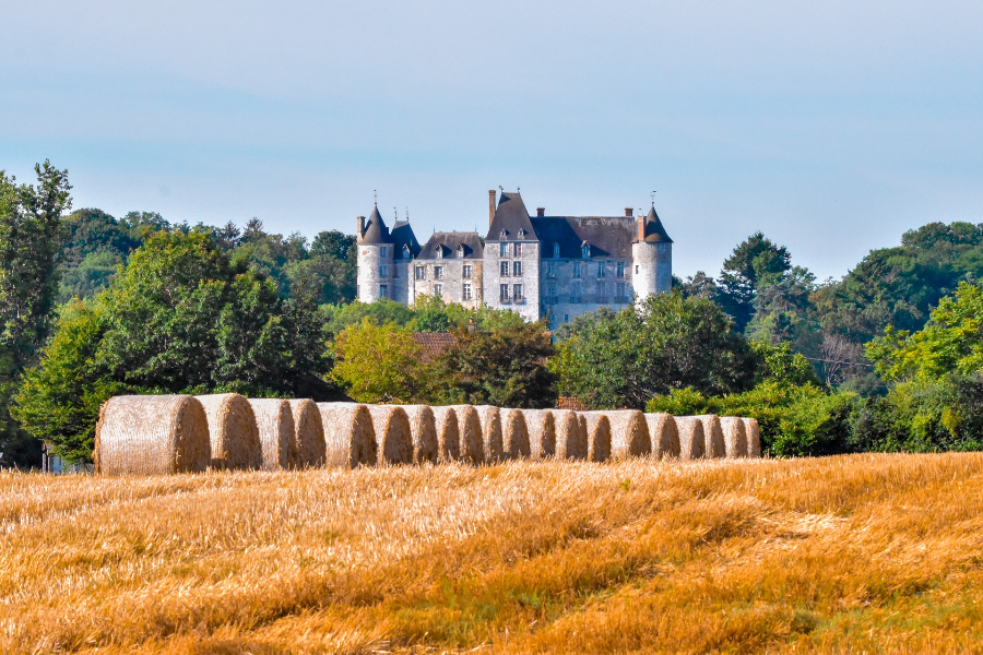 Château de Saint-Brisson-Sur-Loire - ©Ludovic Dardonville