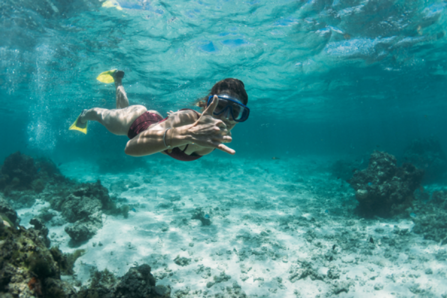Faites de la plongée avec masque et tuba - ©Croisières Australes