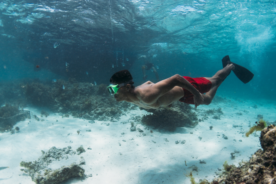 Snorkelling avec Croisières Australes et Blue Safari - ©BLUE SAFARI