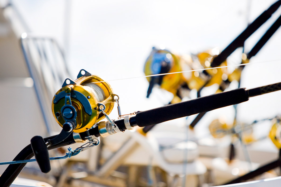 Equipement de pêche au gros - ©BLUE SAFARI