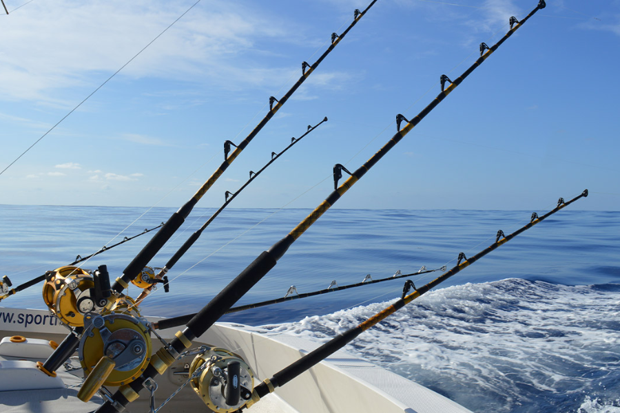 Sportfisher Big Game Fishing - nos cannes à pêche - ©BLUE SAFARI