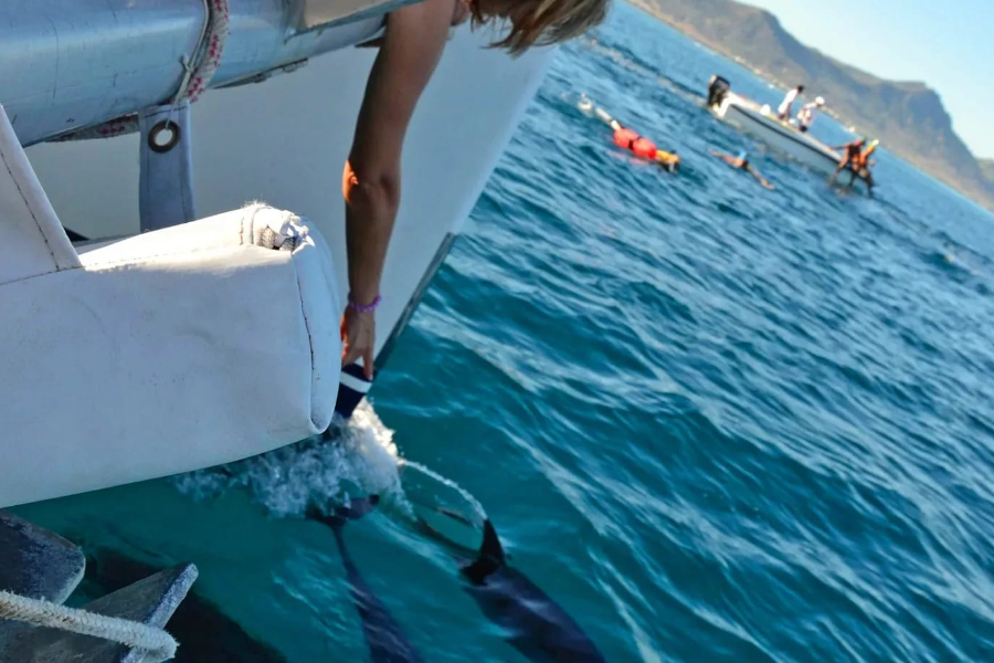 Kick off the season aboard our luxury catamarans & take advantage - ©jphcharters