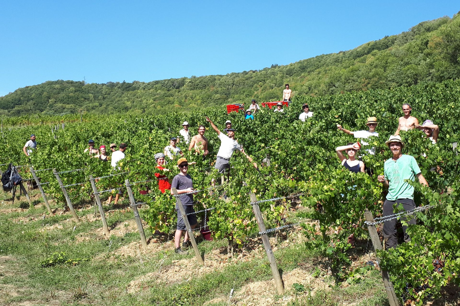 DOMAINE PIGNIER