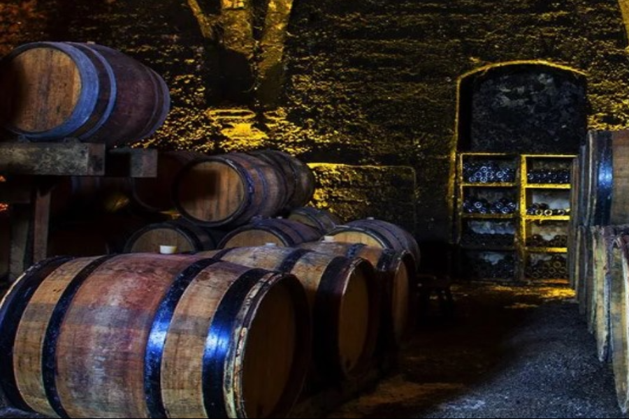 DOMAINE PIGNIER