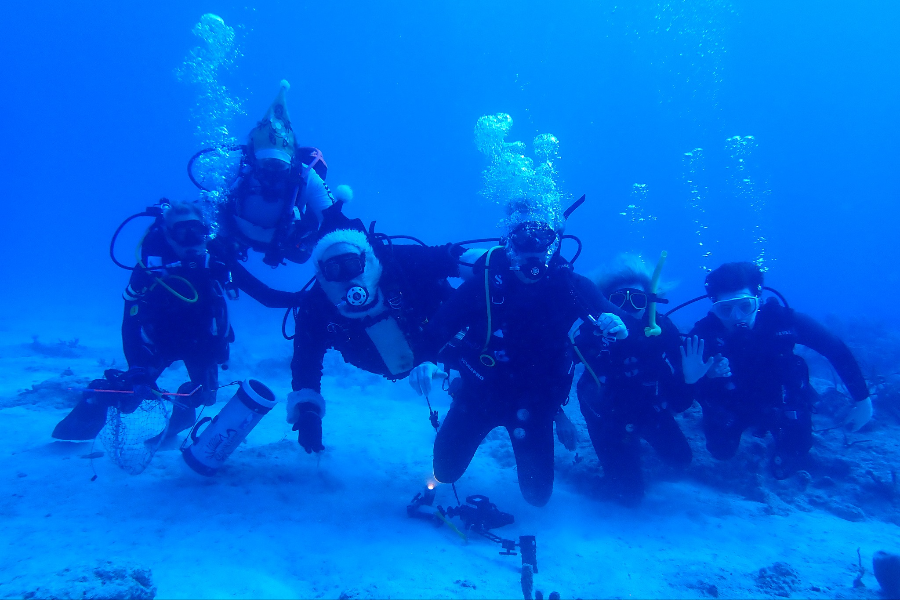 HISTORY OF DIVING MUSEUM