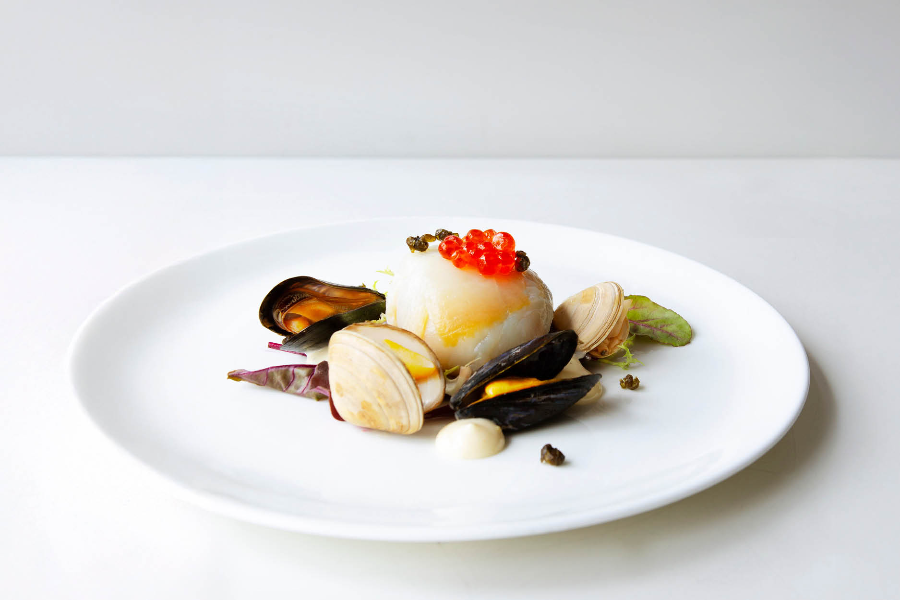 Halibut
