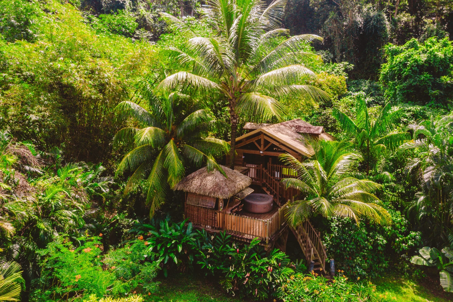 WEST INDIES COTTAGE
