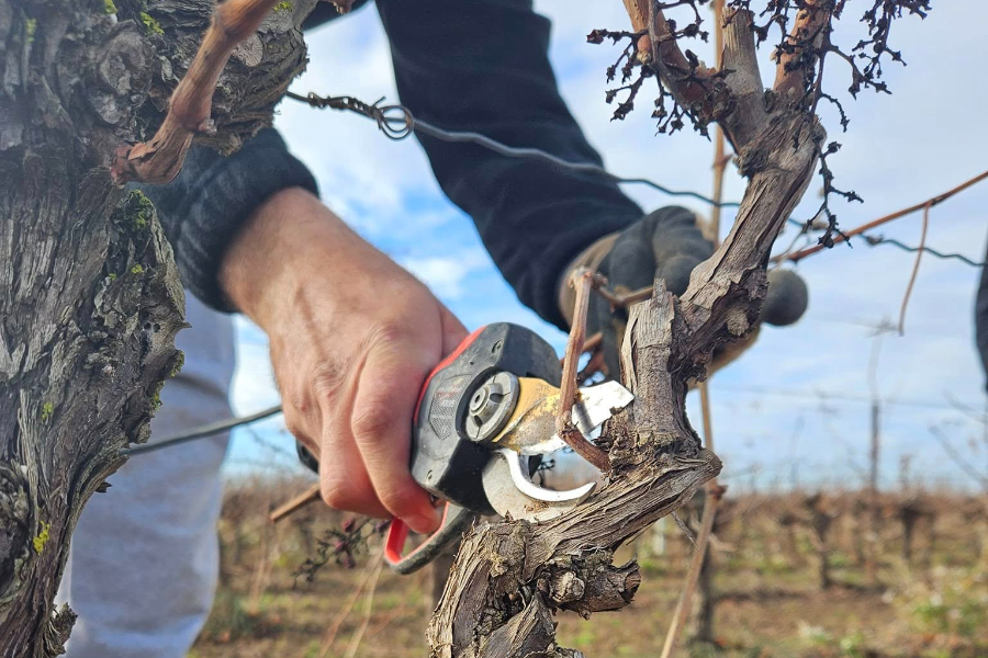 LE ROSÉ DE BESSAN