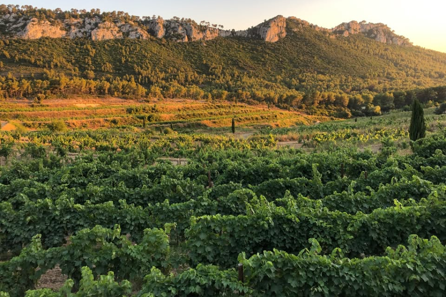 CHATEAU VAL D'ARENC