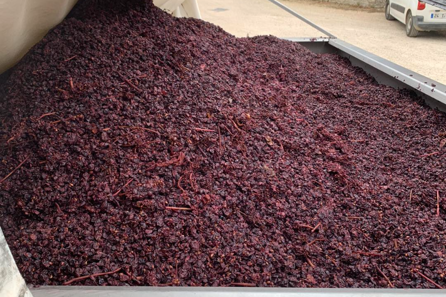 DOMAINE BARDET ET FILS
