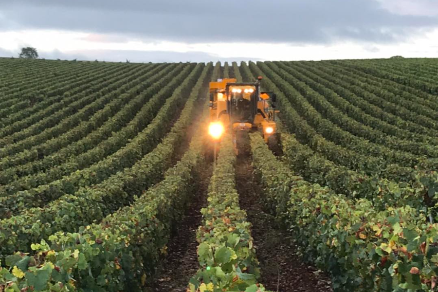 DOMAINE BARDET ET FILS