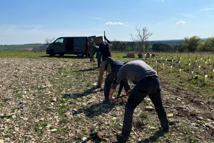 DOMAINE BARDET ET FILS