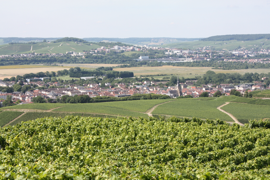 CHAMPAGNE DAUBY MÈRE & FILLE