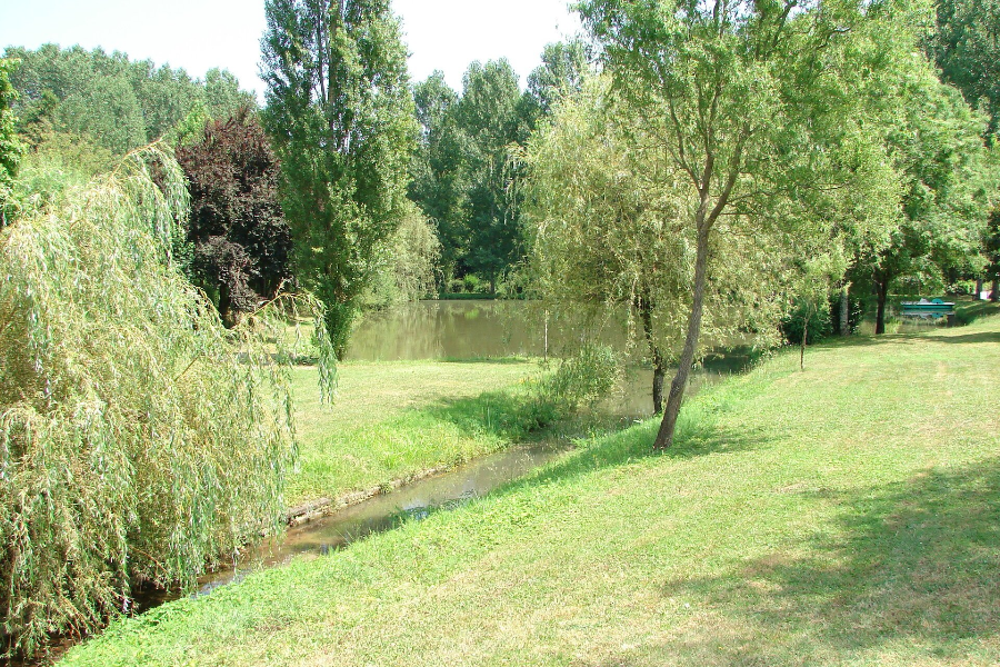 l'espace vert du camping - ©étang