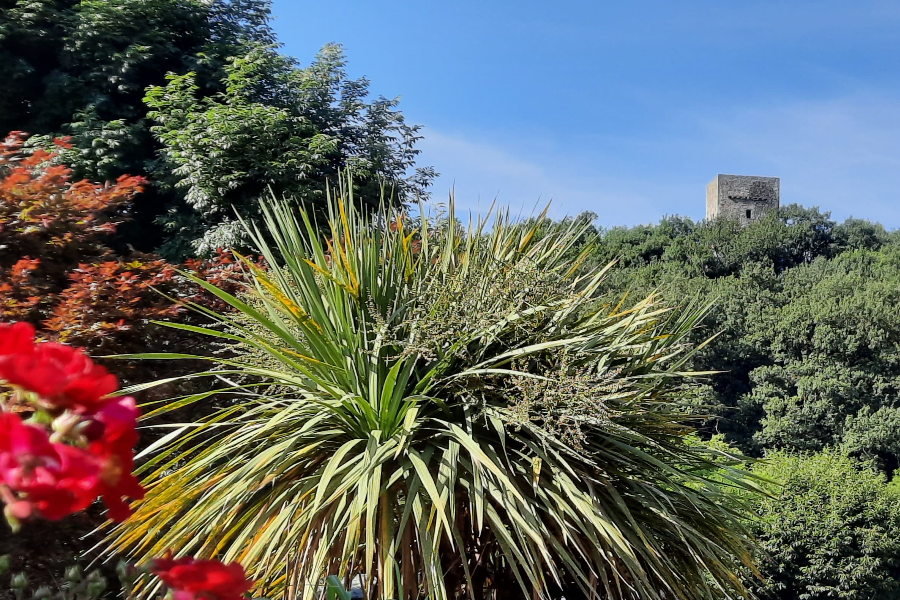 Vue de la tour au Camping du Domaine de la Tour