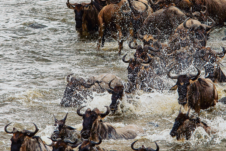 Jackpot Safaris Tanzania