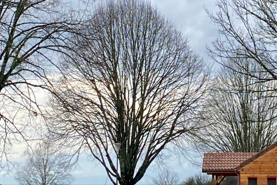 VILLAGE DE GITES LA PERDICIE