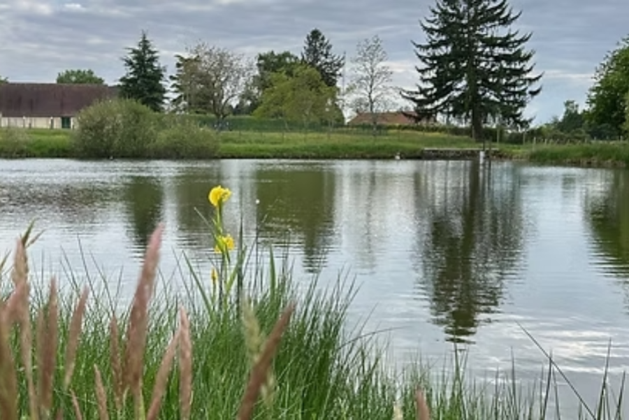 Etang pour pêcher gratuitement