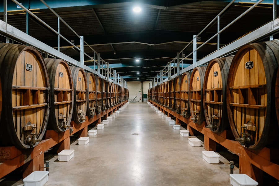 MAISON NOILLY PRAT