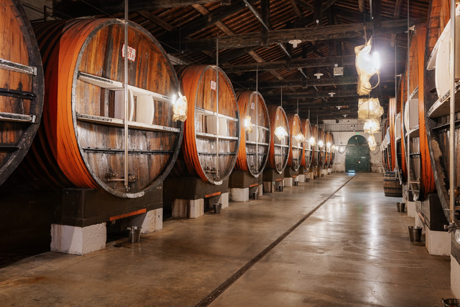 MAISON NOILLY PRAT