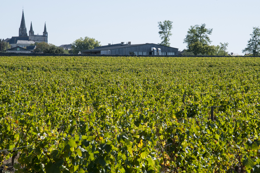 Domaine de la Paleine - ©Domaine de la Paleine