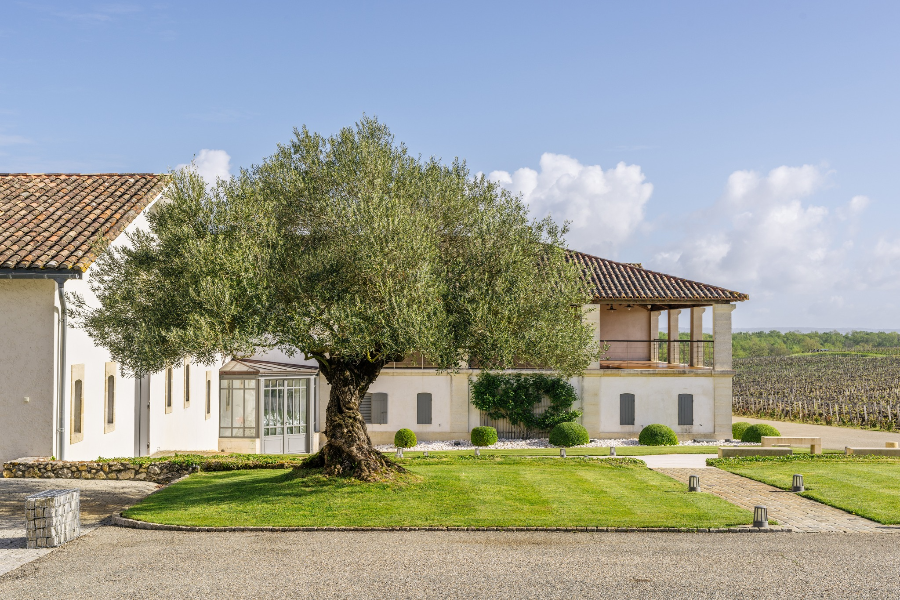 CHÂTEAU SOCIANDO-MALLET