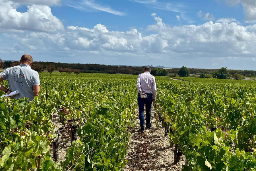 CHÂTEAU SOCIANDO-MALLET