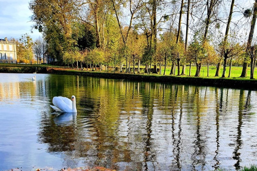 CHÂTEAU ET JARDINS DE CANON