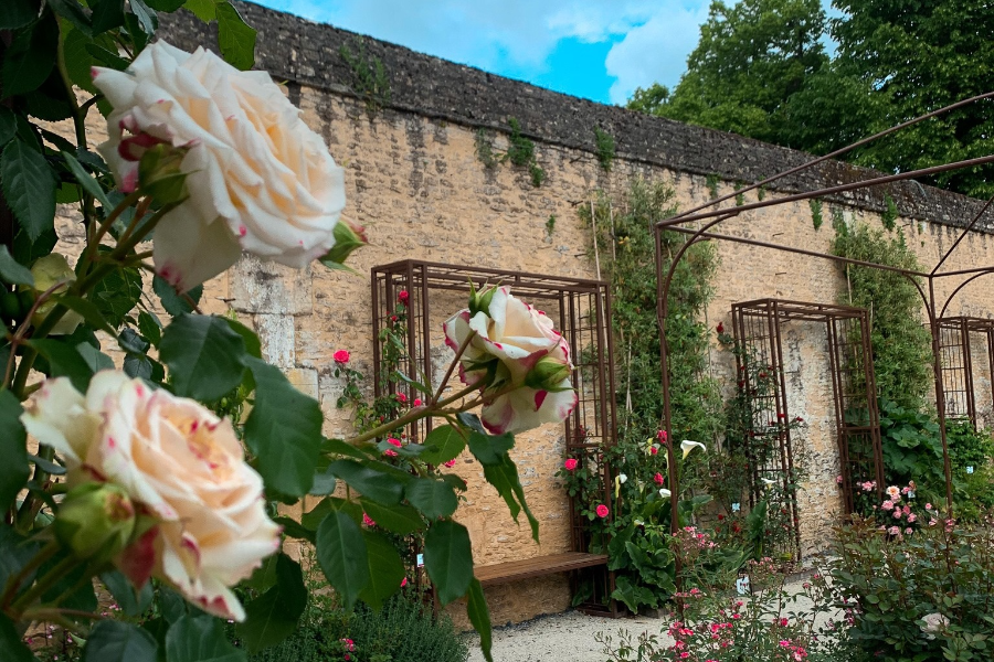 CHÂTEAU ET JARDINS DE CANON - ©CHÂTEAU ET JARDINS DE CANON