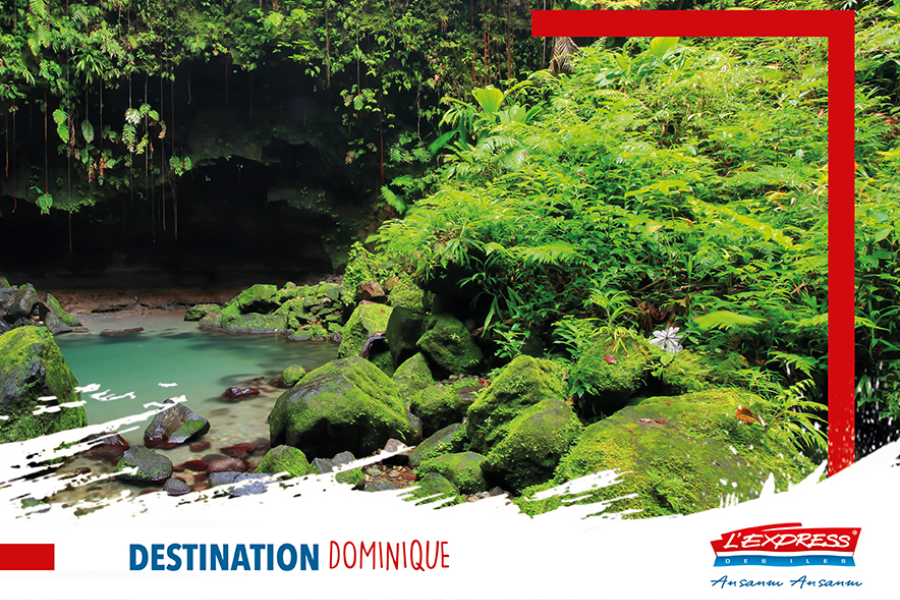 Destination la Dominique - ©L'Express des Iles