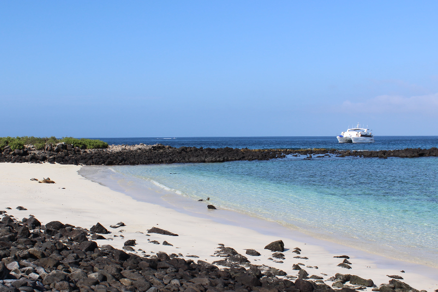 Iles Galapagos - ©@terraecuador