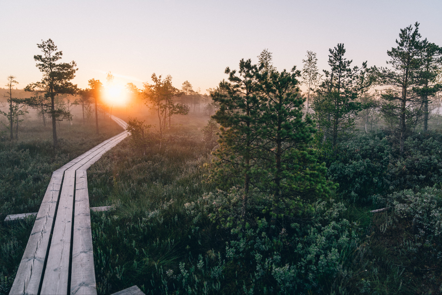 Jurmala - ©Jurmala