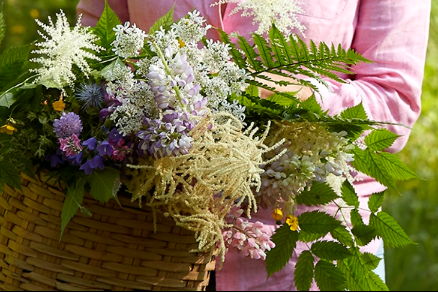 Fleurs & nature