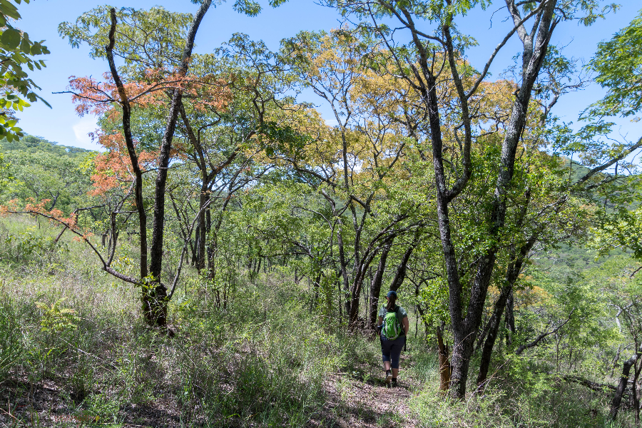 Scenic walks across Musangano. - ©Musangano Lodge