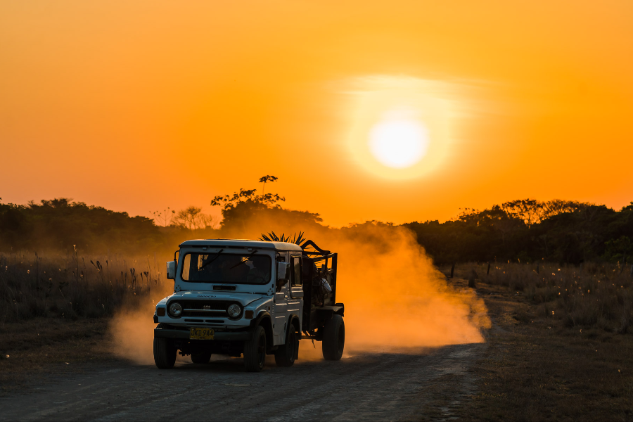 Los llanos - ©Mathieu Perrot-Bohringer