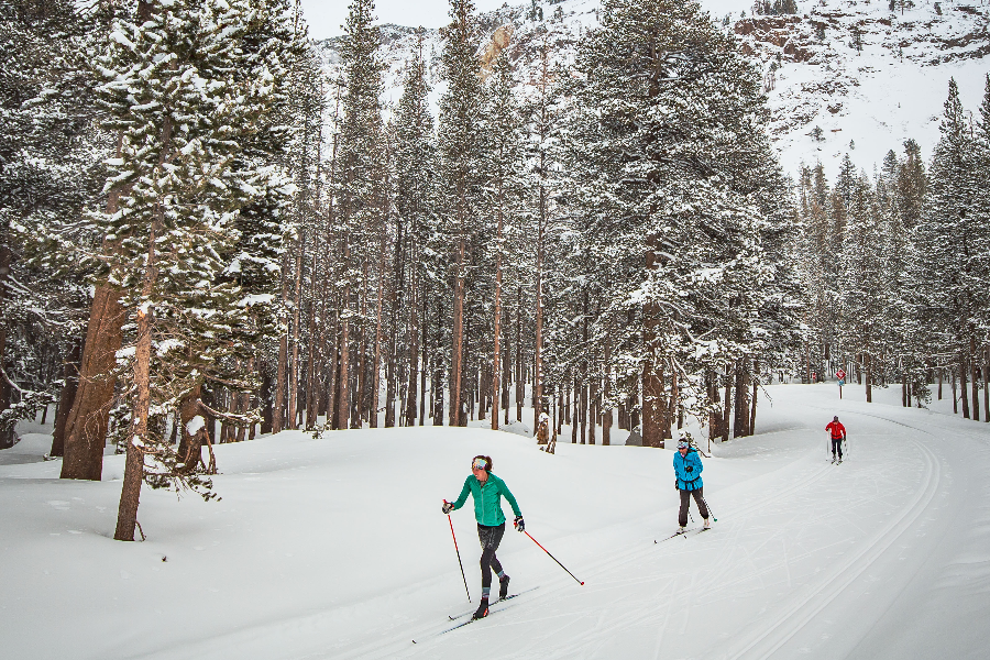Ski de fond / Cross-country skiing - ©DR
