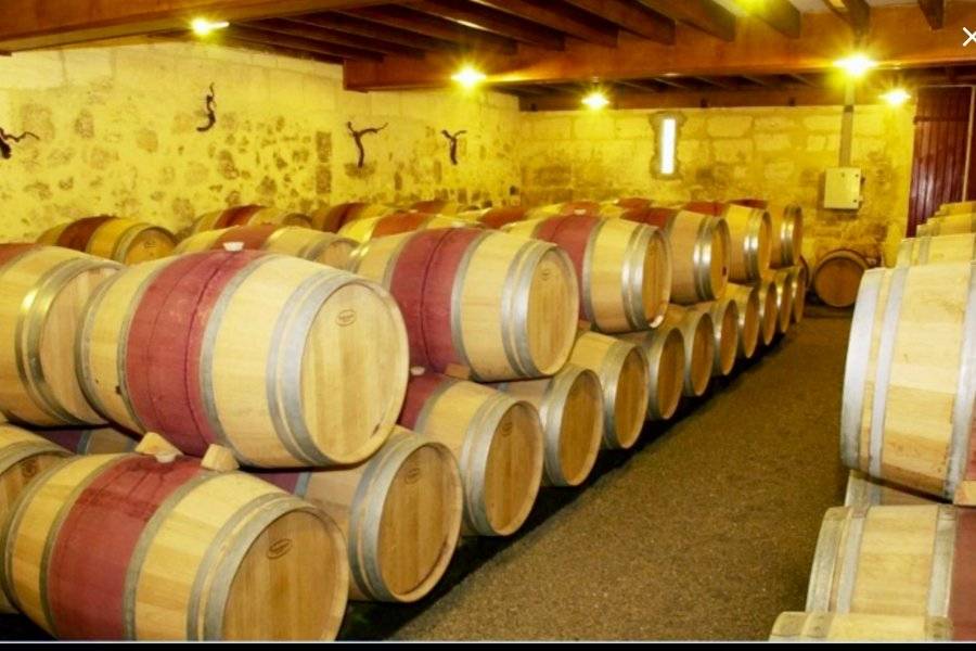 CHÂTEAU LA GALIANE Bodegas – Casas de los vinos Margaux photo n° 212809 - ©CHÂTEAU LA GALIANE
