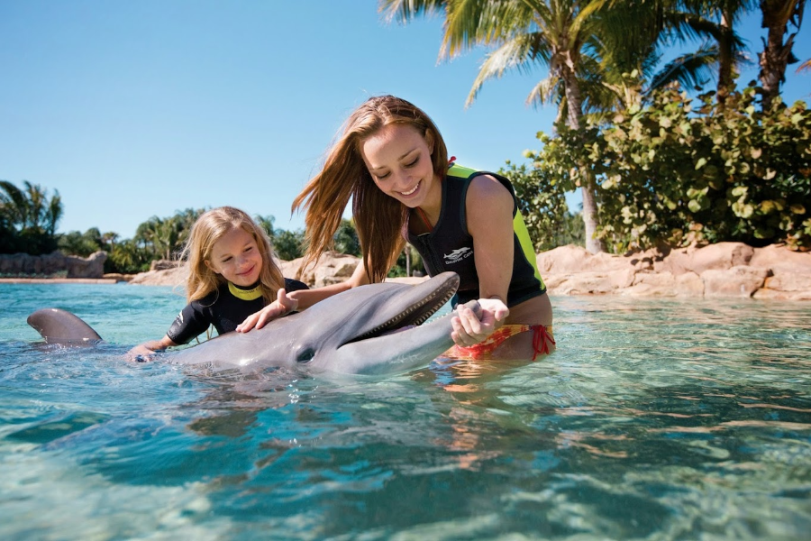 探索者之家（DISCOVERY COVE