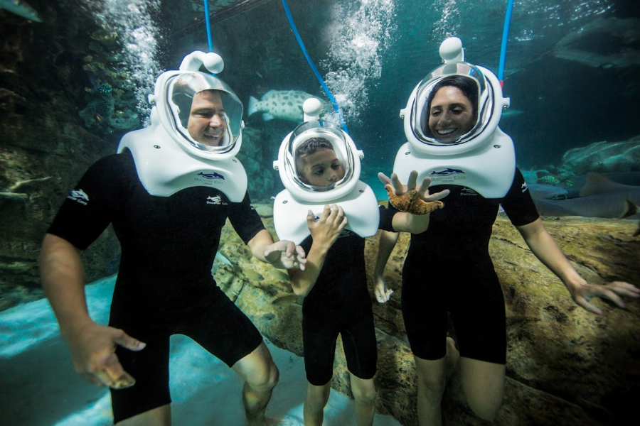 探索者之家（DISCOVERY COVE