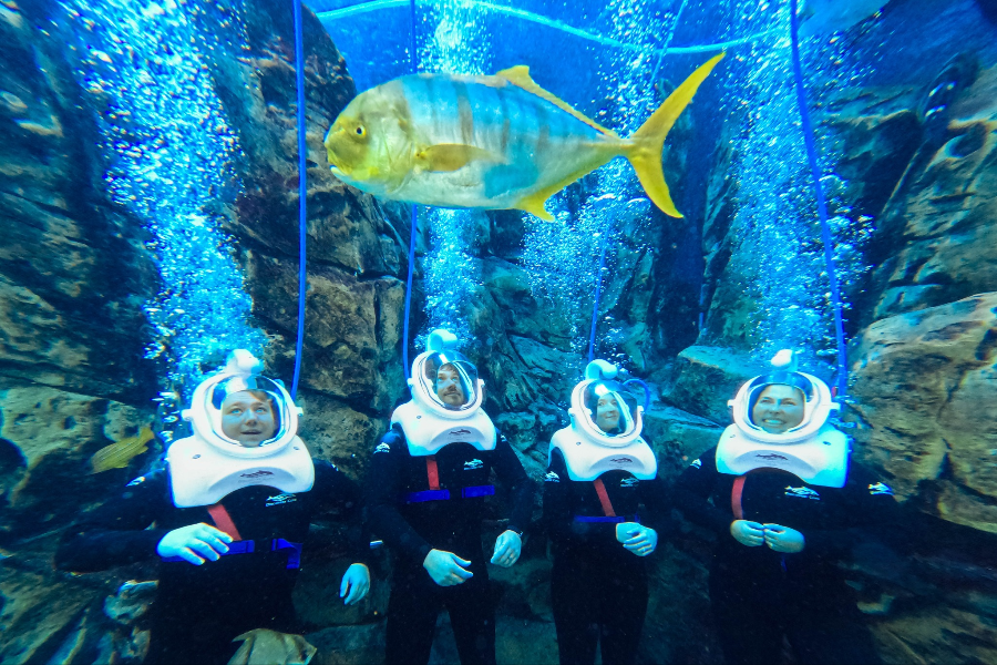探索者之家（DISCOVERY COVE