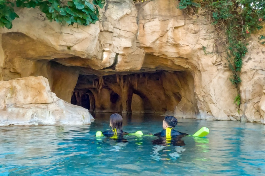 探索者之家（DISCOVERY COVE