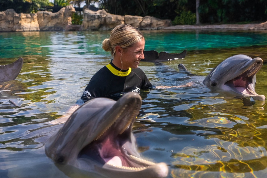 探索者之家（DISCOVERY COVE
