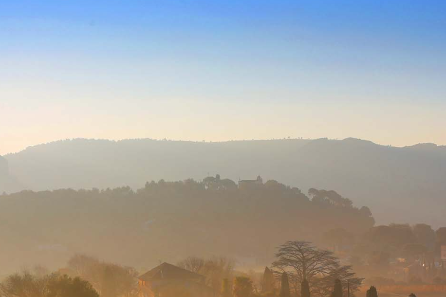 Vignoble au petit matin d'hiver - ©Couleurs cassis