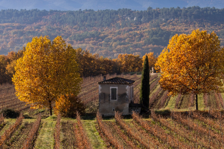 OFFICE DE TOURISME INTERCOMMUNAL PAYS D'APT LUBERON