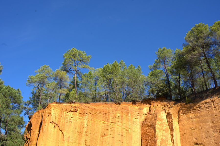 OFFICE DE TOURISME INTERCOMMUNAL PAYS D'APT LUBERON