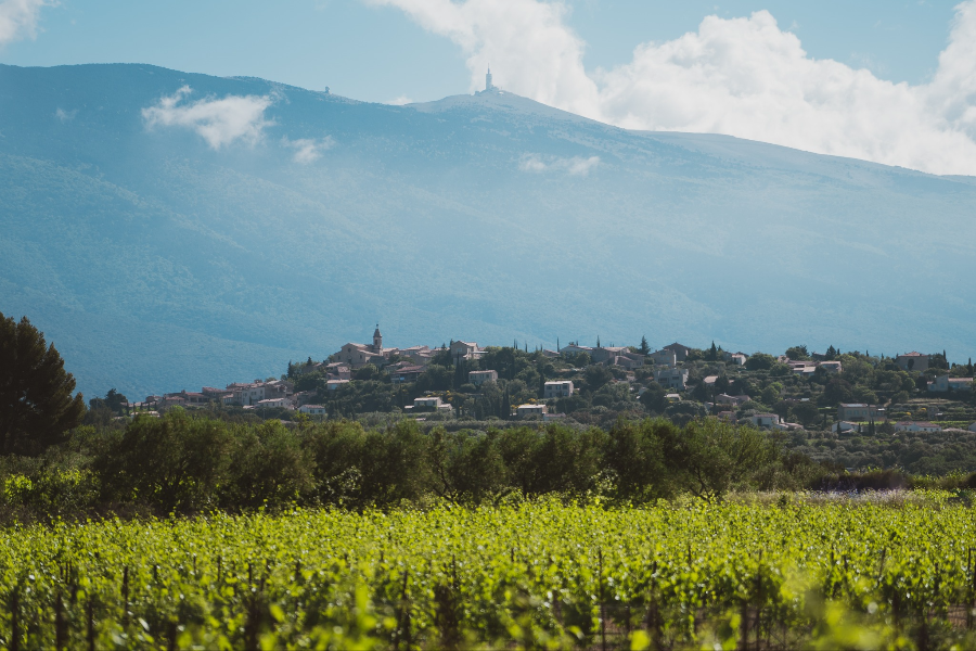 OFFICE DE TOURISME INTERCOMMUNAL PAYS D'APT LUBERON