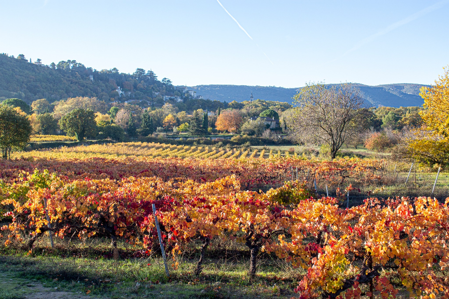  - ©OFFICE DE TOURISME INTERCOMMUNAL PAYS D'APT LUBERON