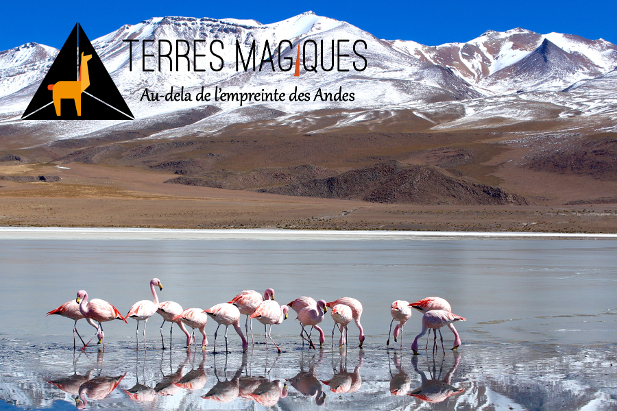 Saline d'Uyuni - Bolivie - ©Terres Magiques